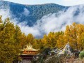 川藏线包车，GL8混动和油车到底选哪个？我跑了三趟终于搞明白了