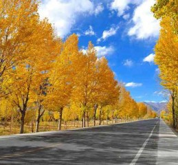 几千块的面包车跑川藏线，我真不建议你冲动