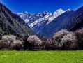 青藏线跑了8次，这份景点分布图我画到想哭