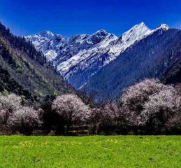 西藏不只有雪山圣湖，这片田园乡村让我想留下来种青稞