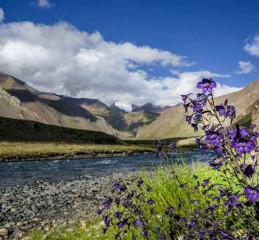 西藏旅游别瞎冲！四季真实体验全记录，看完再决定什么时候出发