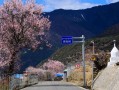 青藏线住一晚到底要花多少钱？我算完这笔账沉默了
