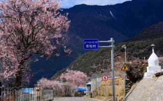 青藏线住一晚到底要花多少钱？我算完这笔账沉默了