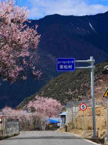 别跟我提西藏攻略了，先看看这片草原再说